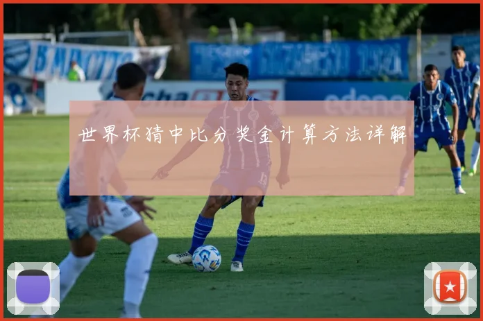世界杯猜中比分奖金计算方法详解